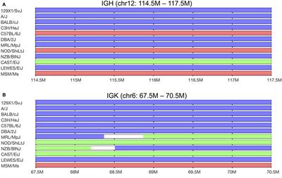 Immunoglobulin Light Chain Gene Rearrangements, Receptor Editing and the Development of a Self-Tolerant Antibody Repertoire